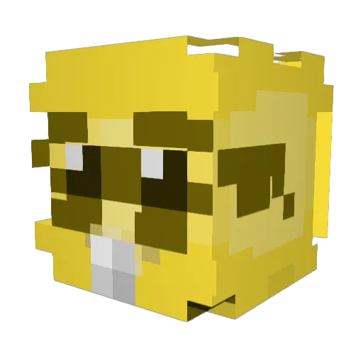 HazmitEndirmind Minecraft avatar head, 3D render