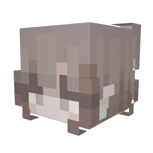 HaznaKira Minecraft avatar head, 3D render