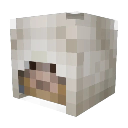 HazySpade Minecraft avatar head, 3D render