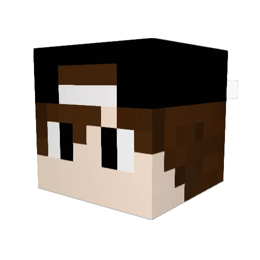 HazyTortoise007 Minecraft avatar head, 3D render