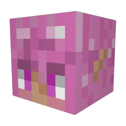 Hazytroll Minecraft avatar head, 3D render