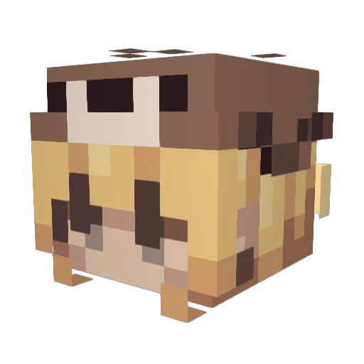 Hazzati123 Minecraft avatar head, 3D render