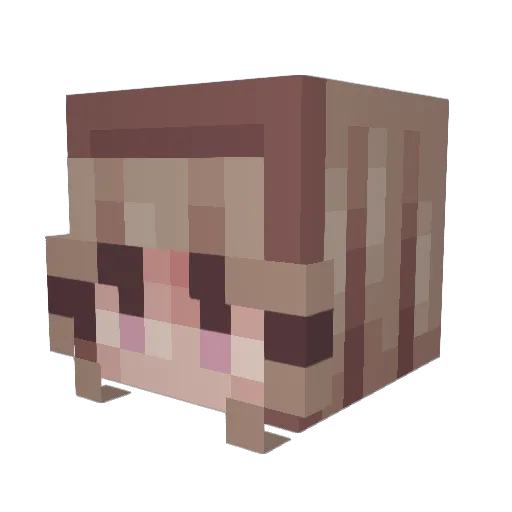 Hbomb1312 Minecraft avatar head, 3D render