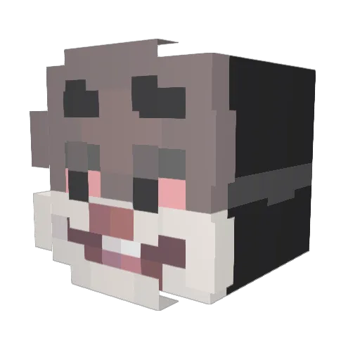 Hc0_ Minecraft avatar head, 3D render
