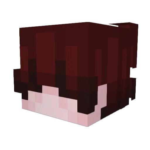 Hc1 Minecraft avatar head, 3D render