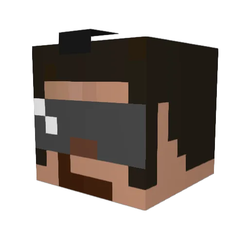 Hc5607b Minecraft avatar head, 3D render