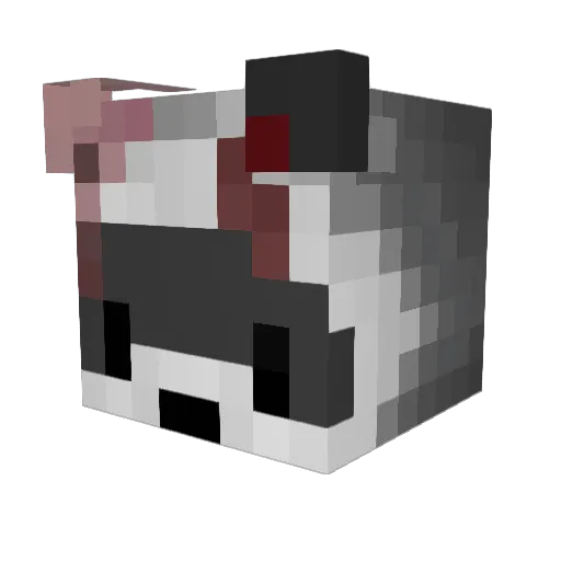 HcNoodles Minecraft avatar head, 3D render