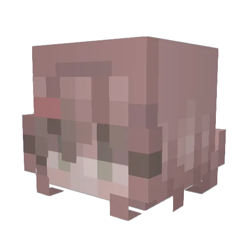 Hc_Nerdy Minecraft avatar head, 3D render