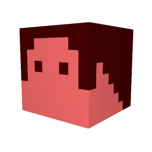 Hccbola Minecraft avatar head, 3D render