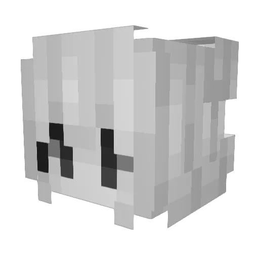 HctRankedZZZ Minecraft avatar head, 3D render