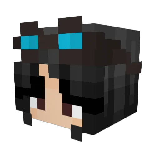Hcwhale Minecraft avatar head, 3D render