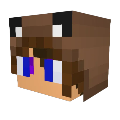 Hd_sam Minecraft avatar head, 3D render