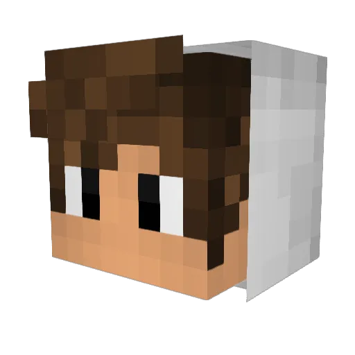 HdeZone Minecraft avatar head, 3D render