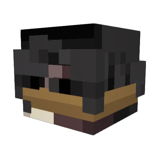 Hdeha Minecraft avatar head, 3D render