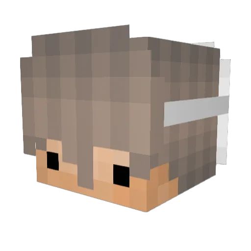 HdhgPlayer Minecraft avatar head, 3D render