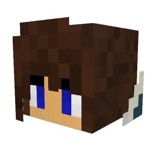 Hdrian Minecraft avatar head, 3D render