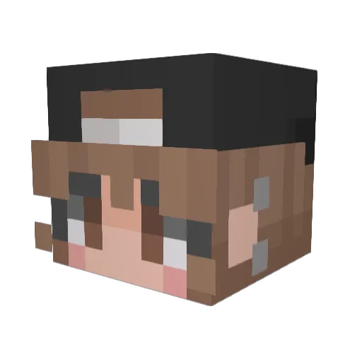 Hdubed Minecraft avatar head, 3D render