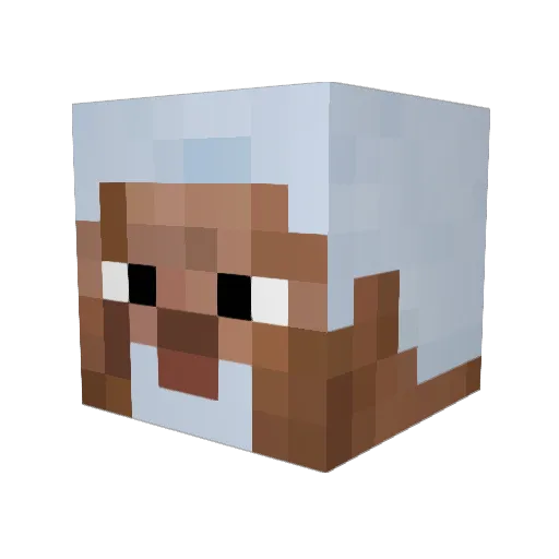 He11vis Minecraft avatar head, 3D render