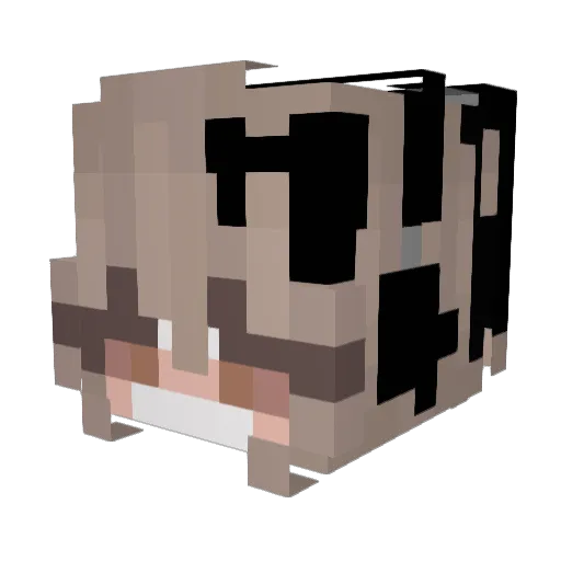 He6o Minecraft avatar head, 3D render