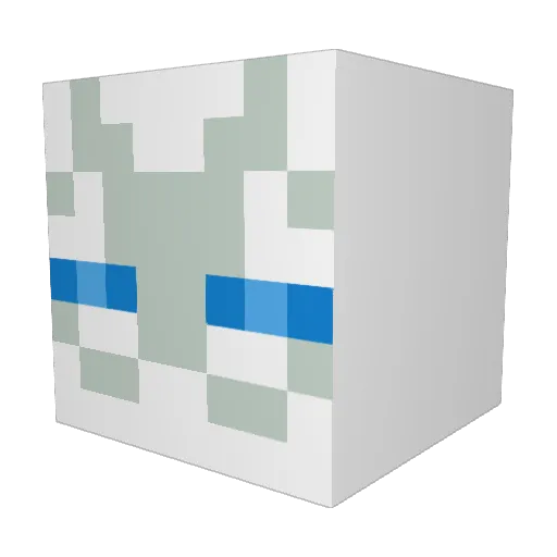 HeCtiC27 Minecraft avatar head, 3D render