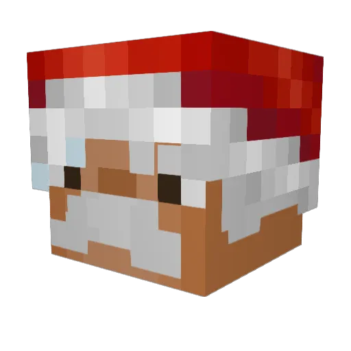 HeGa_ Minecraft avatar head, 3D render