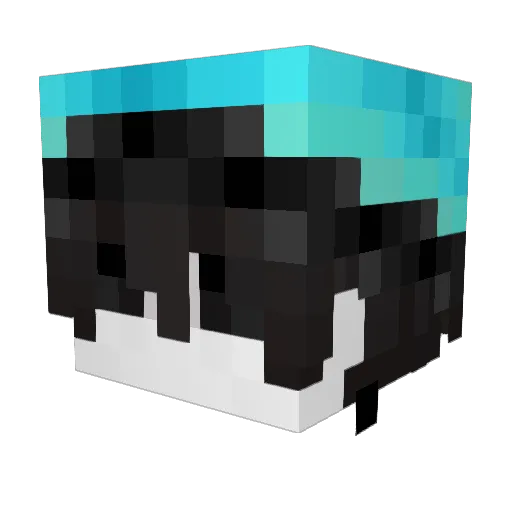 HeHe0419 Minecraft avatar head, 3D render