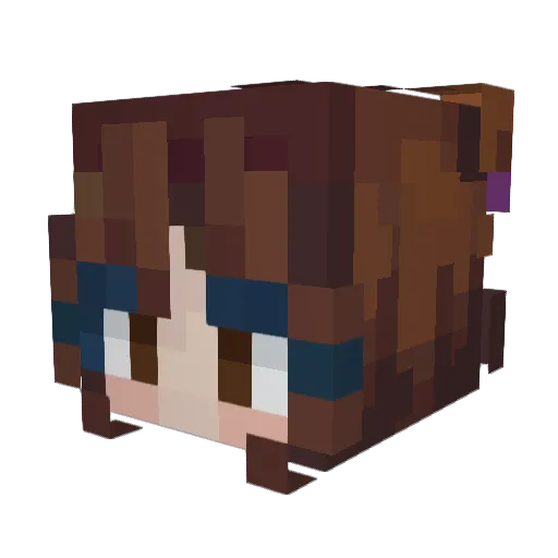 HeIIFire_YT Minecraft avatar head, 3D render