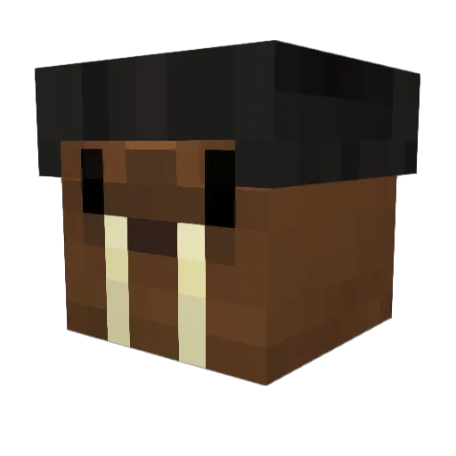 HeIsJohnny Minecraft avatar head, 3D render