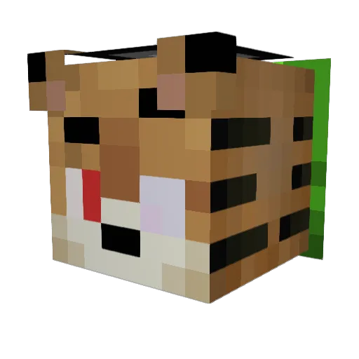 HeNgSeLi Minecraft avatar head, 3D render