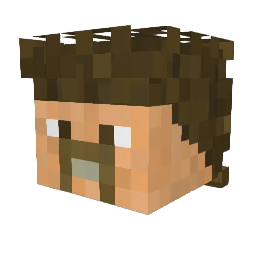 HeSwELl Minecraft avatar head, 3D render
