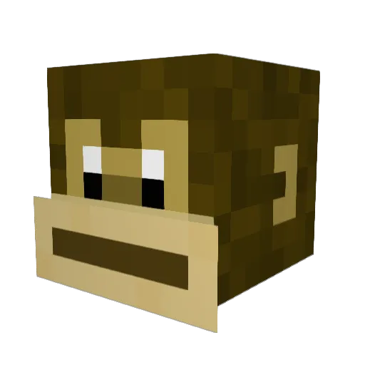 HeWasAMonkey Minecraft avatar head, 3D render