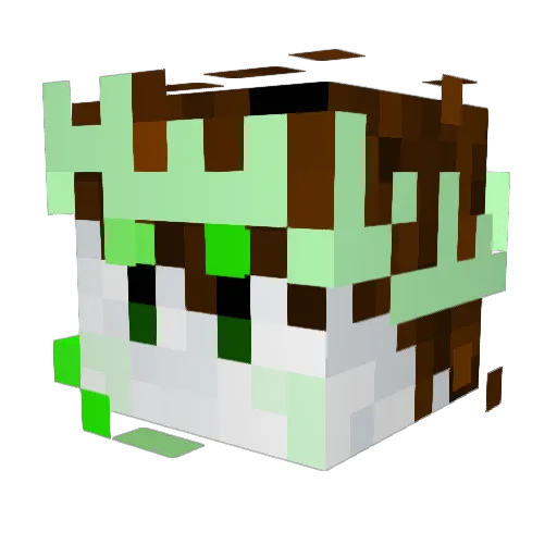 HeWuMaJer Minecraft avatar head, 3D render
