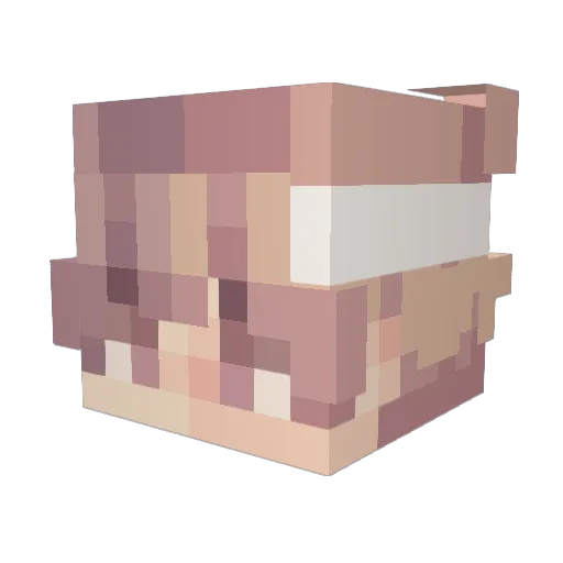 HeXXaN_ Minecraft avatar head, 3D render