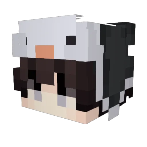 HeadHunter32140 Minecraft avatar head, 3D render