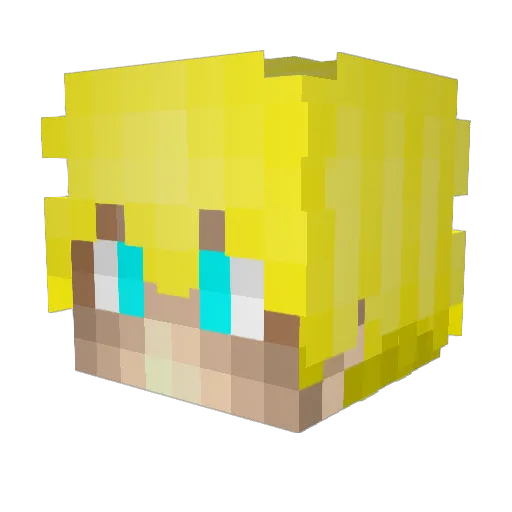 Head_Priest Minecraft avatar head, 3D render