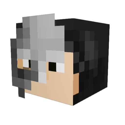 HeadhunterWolf Minecraft avatar head, 3D render