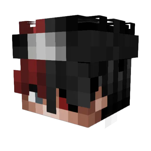 Heal2k19 Minecraft avatar head, 3D render