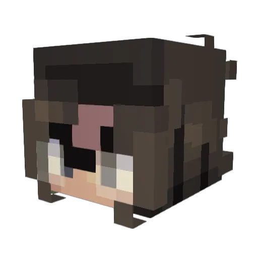 Heal9_Users Minecraft avatar head, 3D render