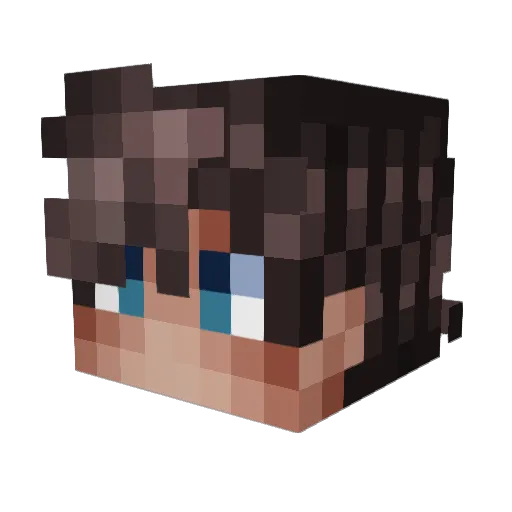 HealableBeret86 Minecraft avatar head, 3D render