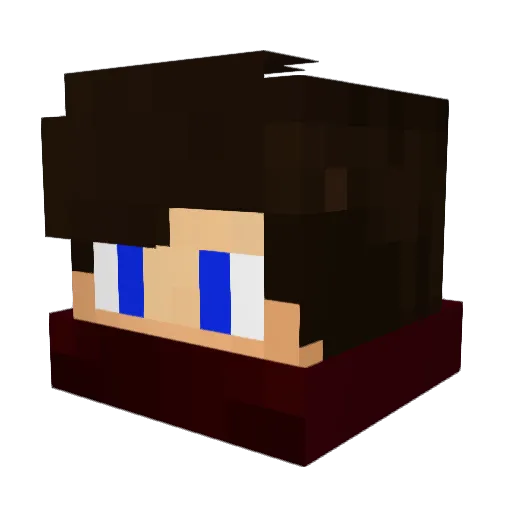 Healbug Minecraft avatar head, 3D render
