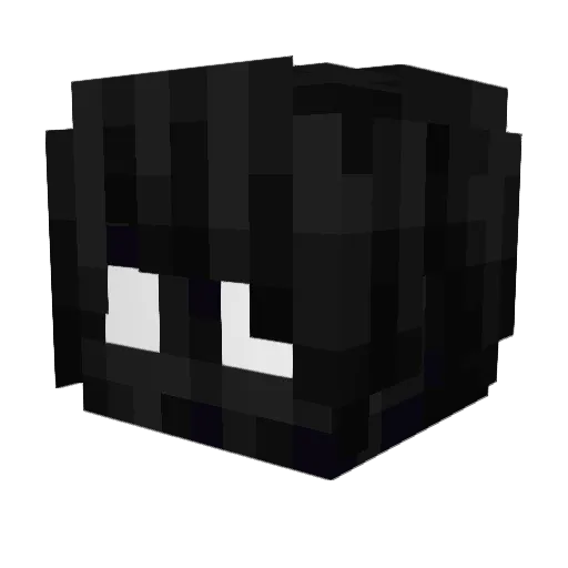 HealedCamp9958 Minecraft avatar head, 3D render