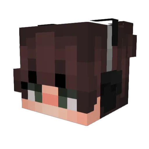 HealedPark25574 Minecraft avatar head, 3D render