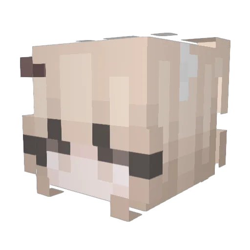 Healer159 Minecraft avatar head, 3D render