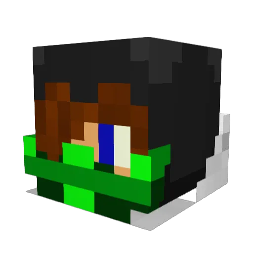 Healer2015 Minecraft avatar head, 3D render