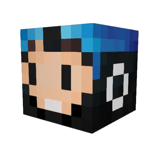 Healerflyte Minecraft avatar head, 3D render