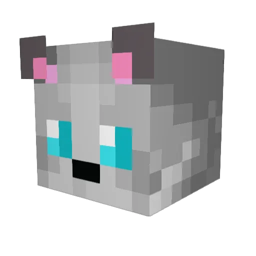 Healingtoxins Minecraft avatar head, 3D render