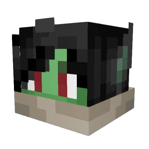 Healsalt Minecraft avatar head, 3D render