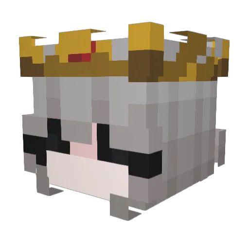 Healsies Minecraft avatar head, 3D render