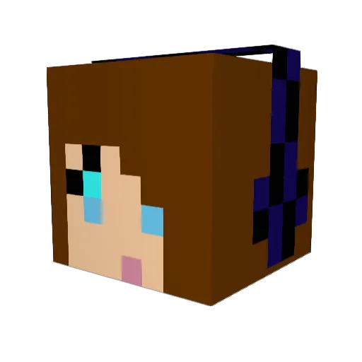 HealthFire Minecraft avatar head, 3D render
