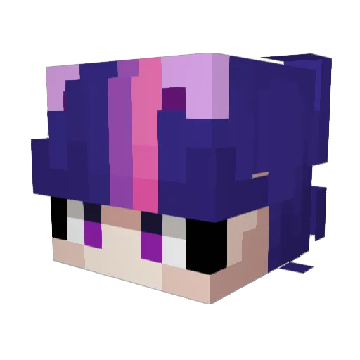 HealthS Minecraft avatar head, 3D render